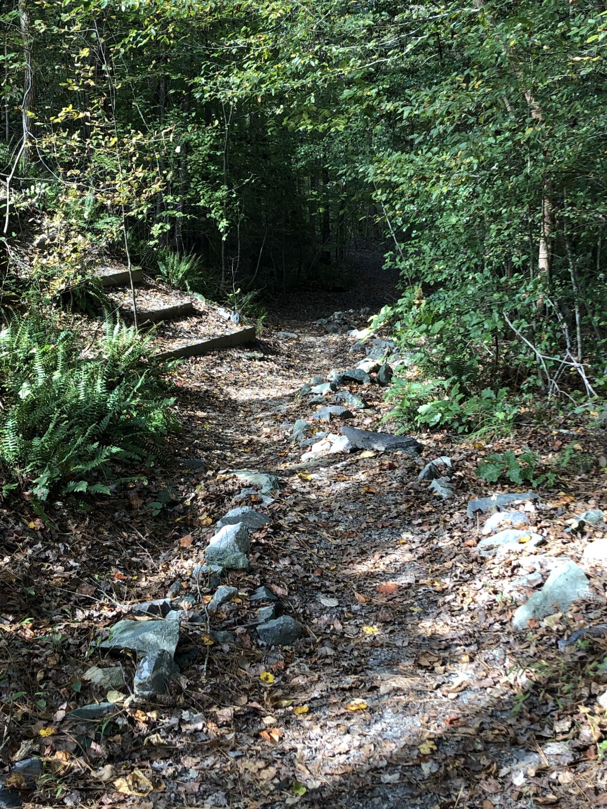 BCTrails8.jpg